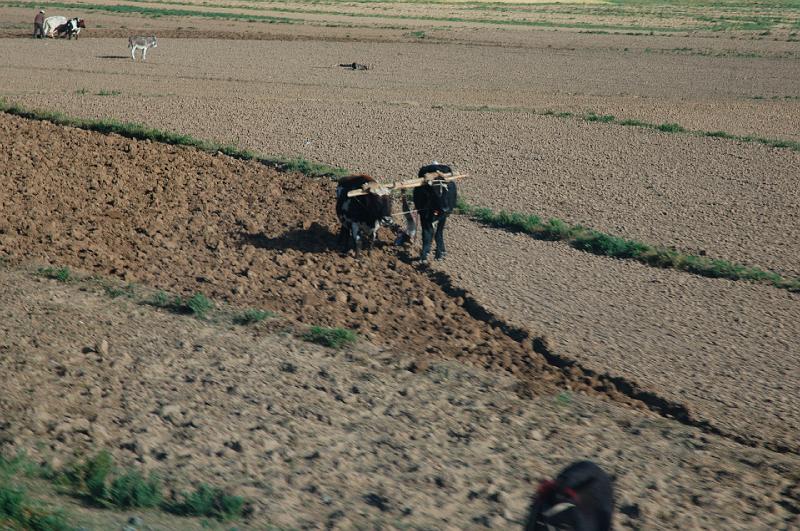 TIBET SEPT2008-674.JPG